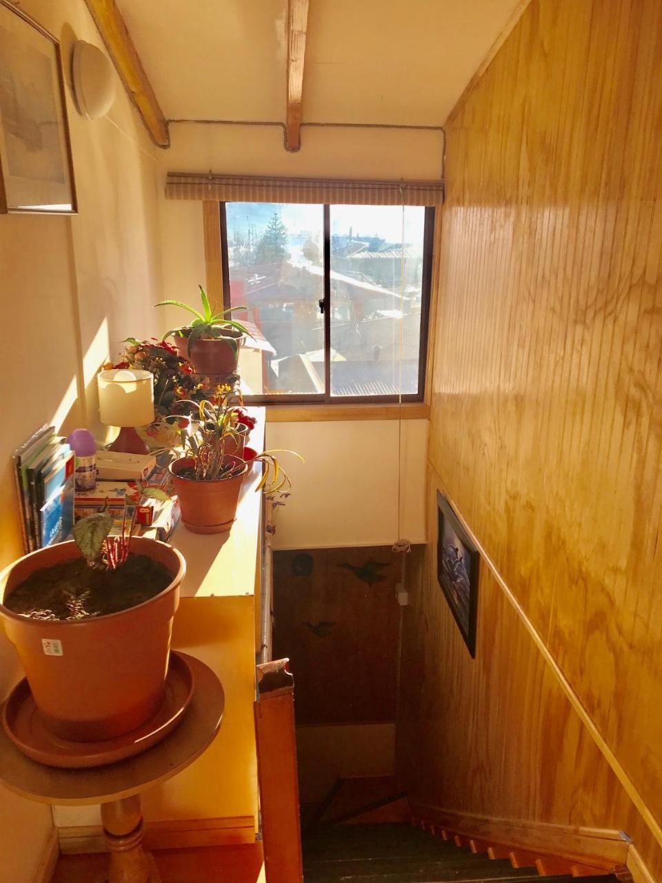 Hostal Patagonia Marmol Coyhaique Bagian luar foto